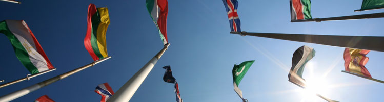flags