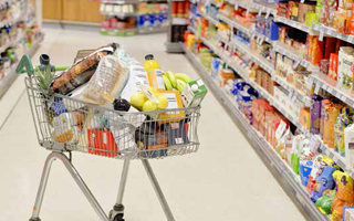 Grocery Shopping Cart