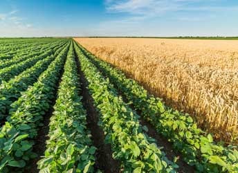 Farm Sustainability Assessment (FSA) Program