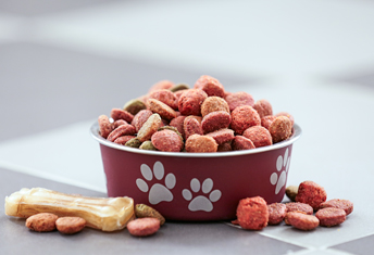 FSMA Requirements for Animal Feed and Pet Food Companies
