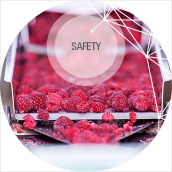 Food safety