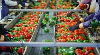 SGS Academy Food Safety Training Webinar