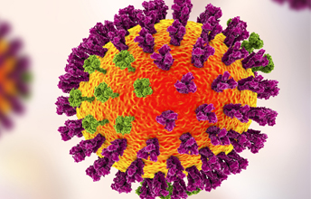 GMP Compliant Vaccine Testing Solution for Coronavirus with SGS