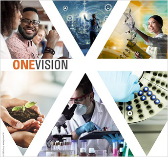 OneVision: Creating a Global Standardized Laboratory Network for SGS Life Sciences