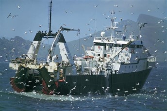 The UK Fish Industry Post Brexit