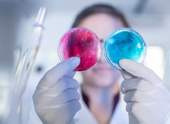 Life Sciences