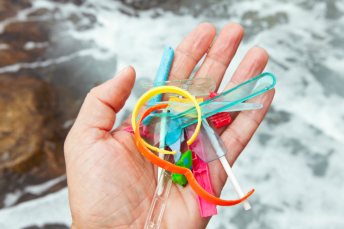 Single-use plastics